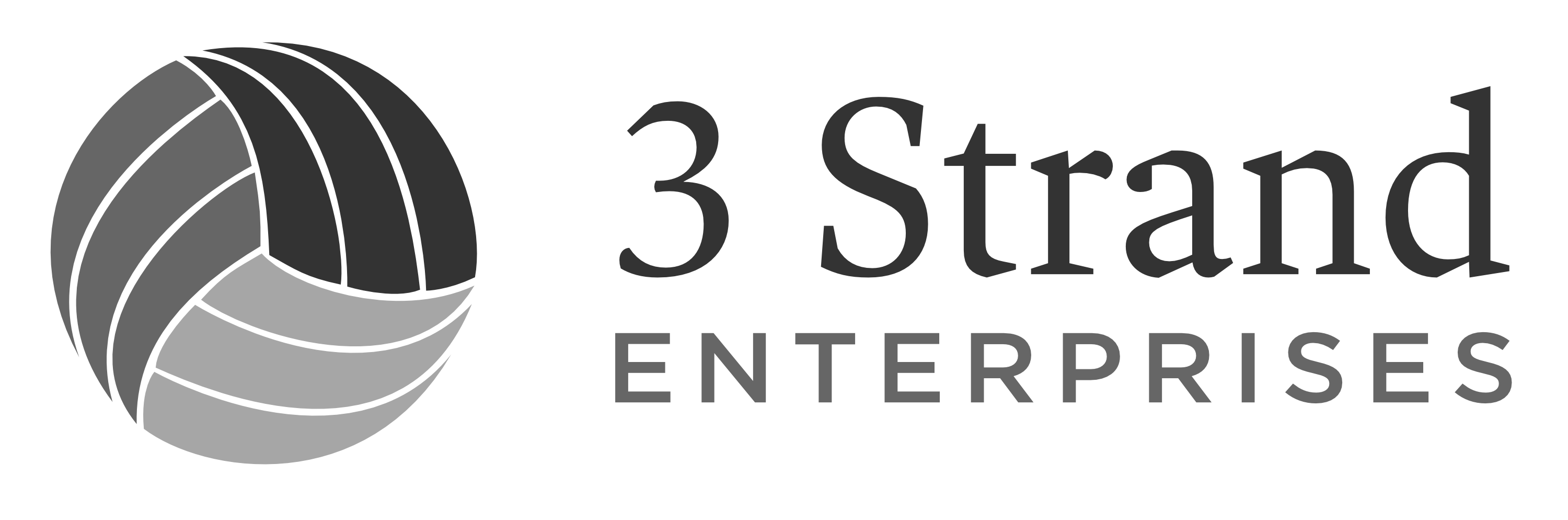 3 Strand Enterprises logo